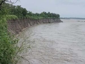 मांडेवाला जंगल में यमुना के पानी ने मचाई तबाही
