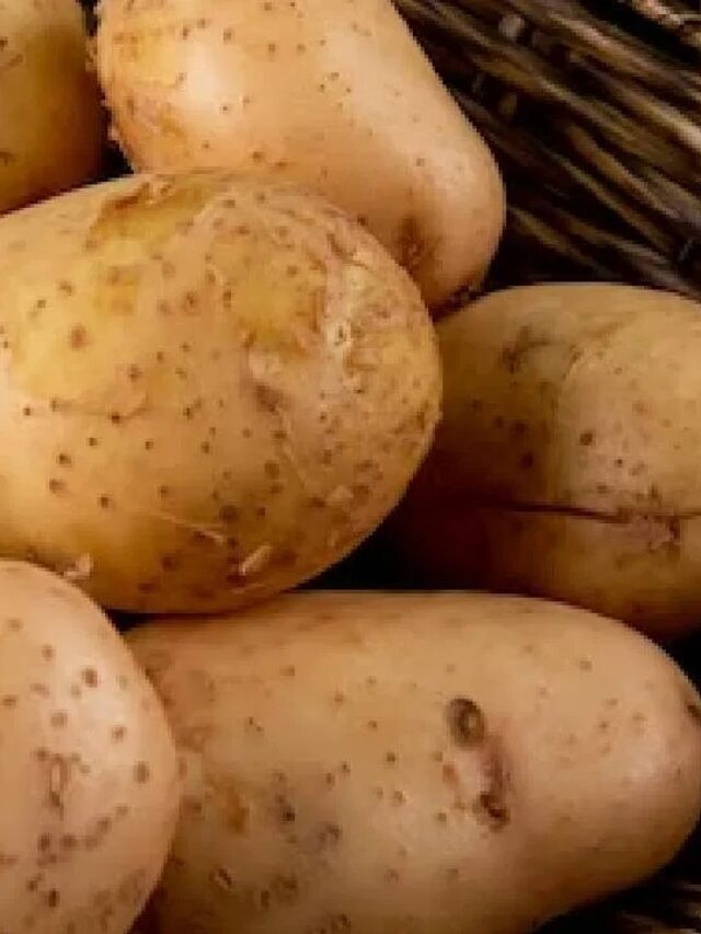 रोजाना खाते हैं आलू? इन 6 गंभीर बीमारियों का बन सकता है कारण