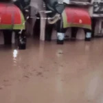 Rajasthan Monsoon
