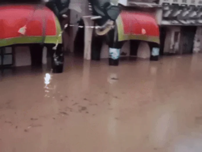 Rajasthan Monsoon
