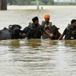 Punjab Breaking News : बाढ़ के बाद अब पंजाब में बीमारियां फैलने का खतरा