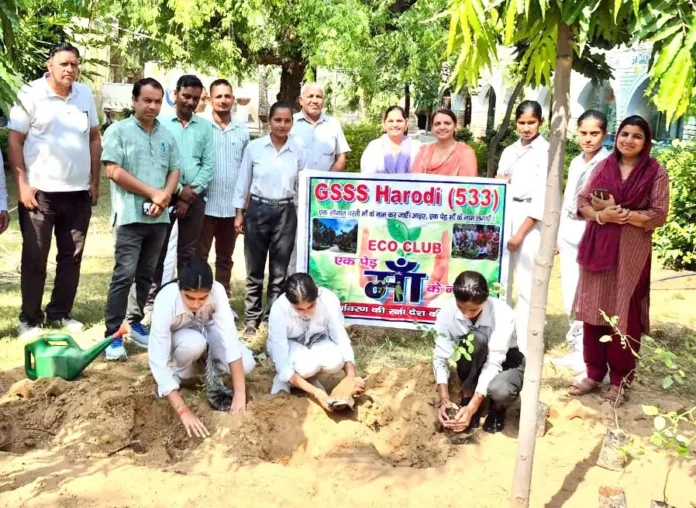 As part of the Seva Pakhwada program, a tree-planting event was held at the Harodai school under the theme One Tree for Mother.