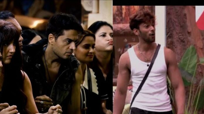 Bigg Boss 19 CaptaincyTask: कैप्टेंसी टास्क में मचा हंगामा, बसीर अली बने घर के नए कप्तान