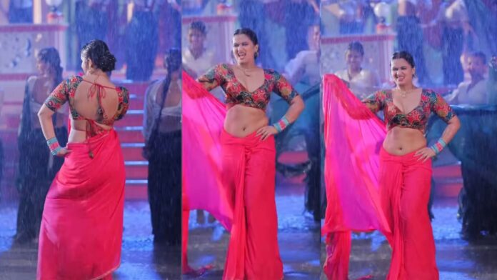 Bigg Boss 19 Fame Neelam Giri: भरी बरसात में भीगी-भीगी नीलम गिरी ने गिराया पल्लू, कड़क अदाओं से मचा दिया तहलका