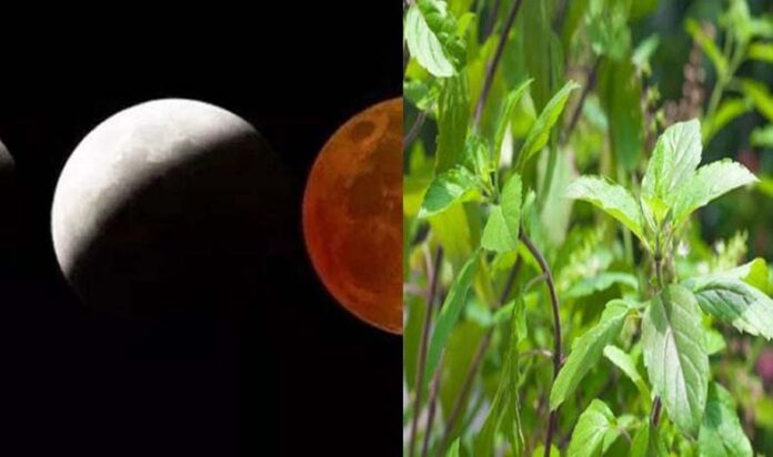Chandrgrahan Upaay: सूतक काल से पहले खाद्य पदार्थों में डाले तुलसी और कुश