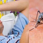 Dengue-Malaria: हरियाणा में डेंगू और मलेरिया के केस बढ़े