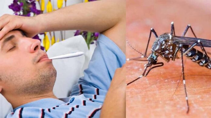 Dengue-Malaria: हरियाणा में डेंगू और मलेरिया के केस बढ़े