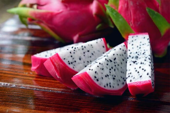 Dragon Fruit: घर पर ड्रैगन फ्रूट उगाना है बेहद आसान, जानिए तरकीब