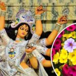 Shardiya Navratri: नवरात्र के 9 दिन मां दुर्गा को अर्पित करें प्रिय फूल