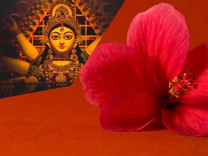 Red Flowers: जानें मां दुर्गा को क्यों चढ़ाया जाता है लाल फूल