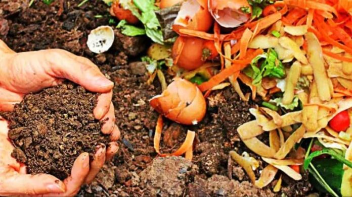 Fertilizer: जानें कैसे नारियल के छिलके, राख और सड़ी सब्जियों से तैयार करें खाद