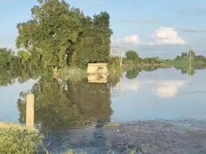सिरसा के 18 गांव में बाढ़ का खतरा।