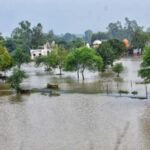 Crops: बाढ़ से होने वाले नुकसान की भरपाई के लिए इन फसलों की खेती कर सकते है किसान, होगा मुनाफा