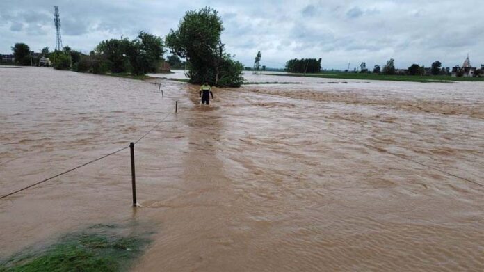 Flood And Waterlogging Haryana: बाढ़ और जलभराव से हरियाणा के 5754 गांव प्रभावित