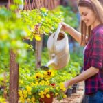 Gardening Tips: बागवानी करने से घटता है तनाव, जानें कैसे