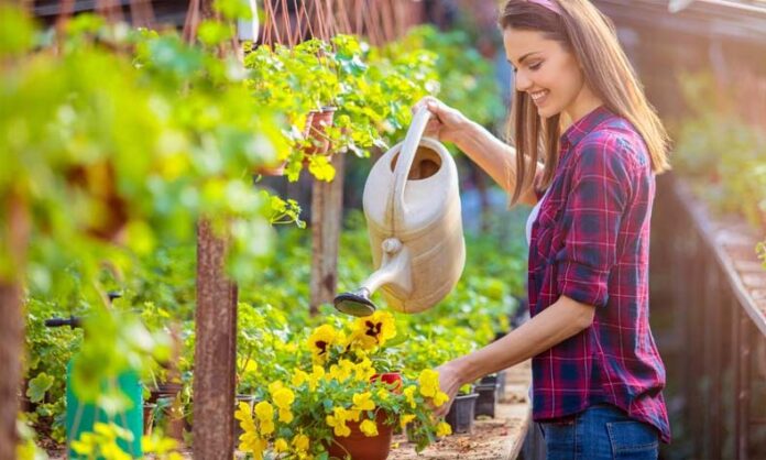 Gardening Tips: बागवानी करने से घटता है तनाव, जानें कैसे