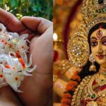 Shardiya Navratri Upaay: दुर्गा मां को बेहद प्रिय है हरसिंगार के फूल