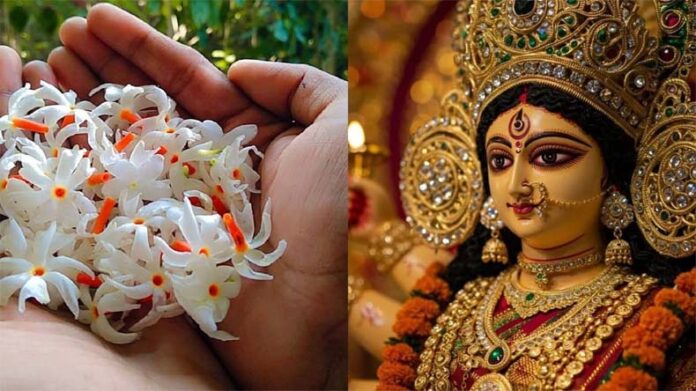 Shardiya Navratri Upaay: दुर्गा मां को बेहद प्रिय है हरसिंगार के फूल