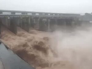 हथनीकुंड बैराज।