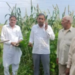 INLD demands special package for disaster affected crops