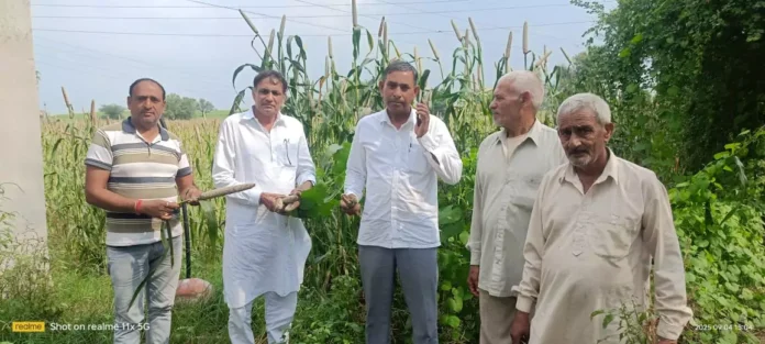 INLD demands special package for disaster affected crops