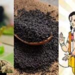 Pitru Paksha Upay: पितृपक्ष में काले तिल ये करें ये उपाय, बरसेगा धन
