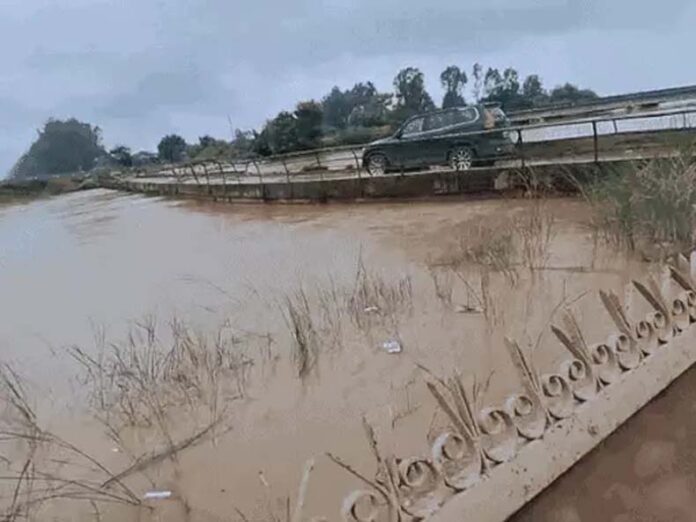 Markanda And Yamuna Rivers Overflow: मारकंडा नदी उफान पर, कुरुक्षेत्र के 17 गांवों में स्कूल बंद, एसडीआरएफ तैनात, यमुना ने भी दिखाया रौद्र रूप Markanda And Yamuna Rivers Overflow: मारकंडा नदी उफान पर, कुरुक्षेत्र के 17 गांवों में स्कूल बंद, एसडीआरएफ तैनात, यमुना ने भी दिखाया रौद्र रूप