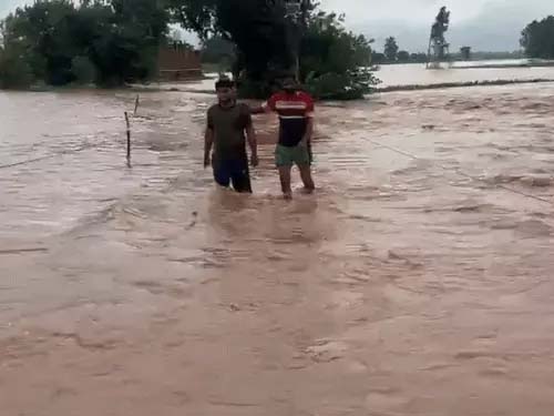 Haryana Weather Update: हरियाणा के 8 जिलों में स्कूल बंद, यमुना से सटे जिलों में बाढ़ का खतरा, कुरुक्षेत्र और फतेहाबाद में 3 की मौत Haryana Weather Update: हरियाणा के 8 जिलों में स्कूल बंद, यमुना से सटे जिलों में बाढ़ का खतरा, कुरुक्षेत्र और फतेहाबाद में 3 की मौत