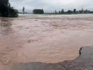 Markanda River Overflow: मारकंडा नदी ओवरफ्लो, कुरुक्षेत्र के 8 गांवों में घुसा पानी, खतरे के निशान से उपर बह रही घग्घर