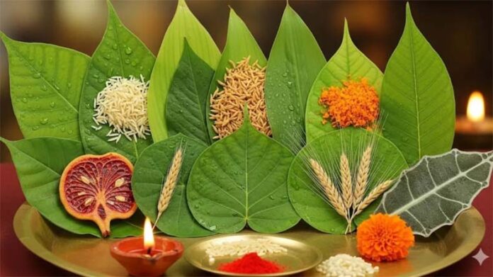 Navapatrika Puja: नवपत्रिका पूजा आज, जानें विधि और महत्व