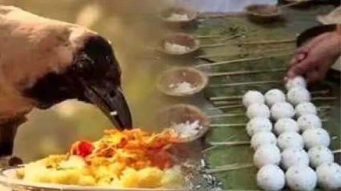 Panchbali Shradh: जानें क्या है पंचबलि श्राद्ध