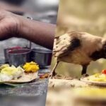 Pitru Paksha Upaay: जानें पितृ पक्ष में कौऐ को क्यों कराया जाता है भोजन