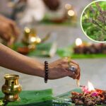 Pitru Paksha: क्या पितृ पक्ष में की जा सकती है तुलसी की पूजा, जानें