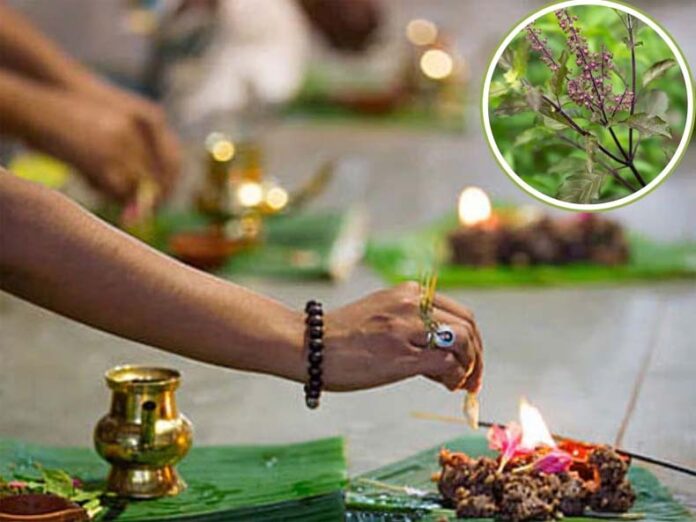 Pitru Paksha: क्या पितृ पक्ष में की जा सकती है तुलसी की पूजा, जानें