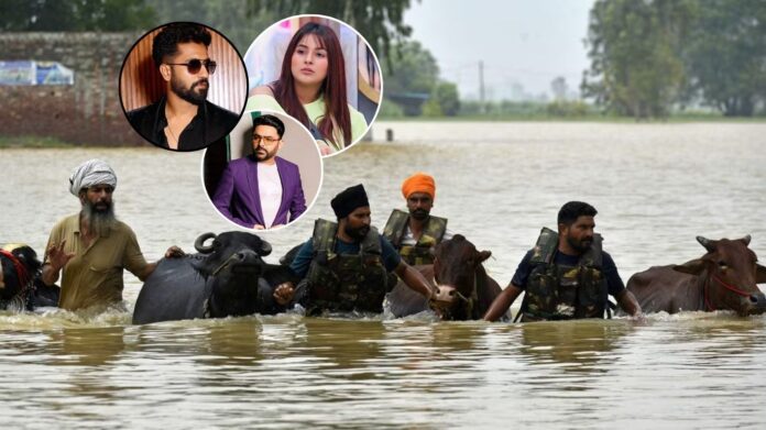 Punjab Flood 2025: बाढ़ में डूबा पंजाब, भावुक हुए सेलेब्स; शहनाज़, विक्की और कपिल शर्मा आए आगे