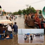 Punjab Floods: बाढ़ पीड़ितों के लिए एकजुट हुई पंजाबी इंडस्ट्री, दिलजीत से लेकर एमी-विर्क तक आगे आए 