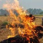 Punjab Stubble Burning : पंजाब में किसान जला रहे धान के अवशेष