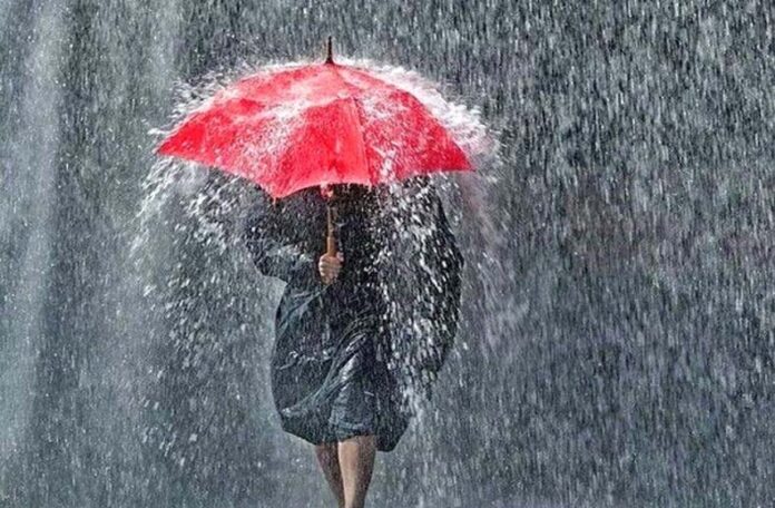 Haryana Weather Update: हरियाणा के 4 जिलों में बारिश का रेड अलर्ट
