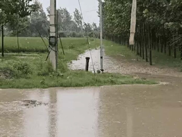 Haryana Weather Update: हरियाणा के 7 जिलों में बारिश की चेतावनी, 6 में स्कूल बंद