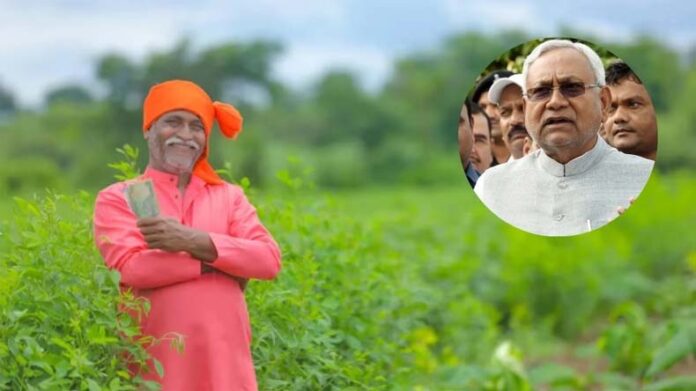 Seeds Subsidy: सब्जियों के बीज पर सब्सिडी दे रही बिहार सरकार