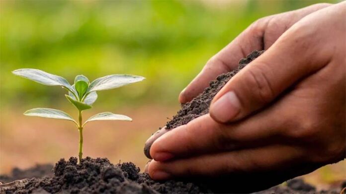 Soil Fertility: जानें कैसे बढ़ाए मिट्टी की उर्वरता