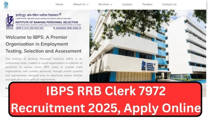 Today is the last day to apply for 7972 IBPS RRB Clerk positions; interested candidates should apply today.