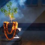Guruvaar Tulsi Upaay: गुरुवार को तुलसी की मंजरी के करें ये उपाय, जीवन में धन-दौलत की नहीं होगी कमी