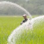 Andhra Pradesh Government Decision: यूरिया नहीं खरीदने वाले किसानों को 800 रुपए की प्रोत्साहन देगी आंध्र प्रदेश सरकार