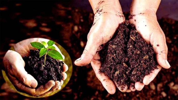 Vermi Compost: जानें कैसे वर्मी कंपोस्ट बनाकर कर सकते हैं लाखों की कमाई