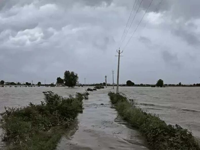 Haryana Flood Situation: हरियाणा में यमुना, टांगरी, घग्गर और मारकंडा नदी उफान पर, बाढ़ का खतरा बढ़ा, 8 जिलों में स्कूल बंद