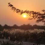 Haryana Weather Update: हरियाणा में कल से गर्मी से मिलेगी राहत, उत्तर-पश्चिमी हवाओं से गिरेगा पारा