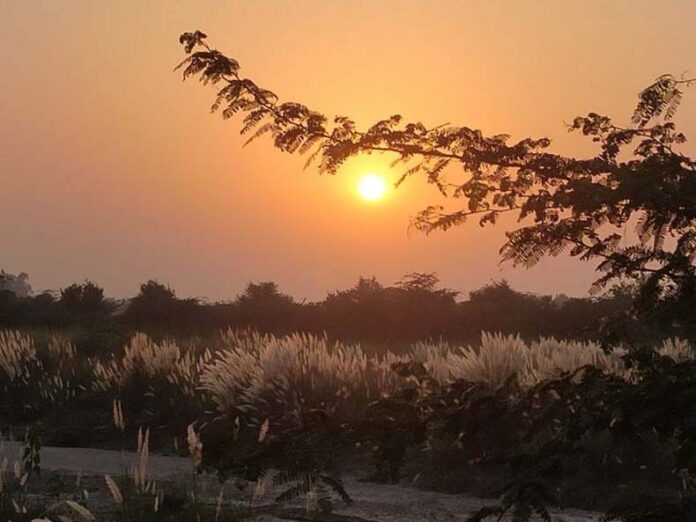 Haryana Weather Update: हरियाणा में कल से गर्मी से मिलेगी राहत, उत्तर-पश्चिमी हवाओं से गिरेगा पारा