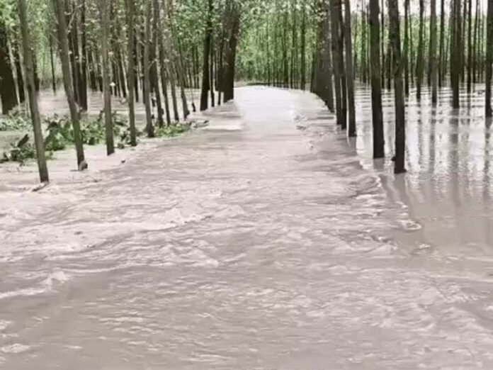 Haryana Weather Update: हरियाणा में बारिश जारी, हथिनीकुंड बैराज के फ्लड गेट 63 घंटे से खुले