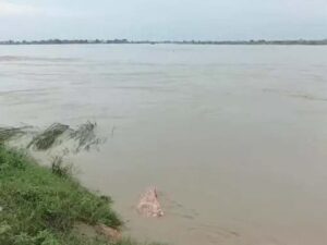खतरे के निशान से ऊपर बह रही यमुना।